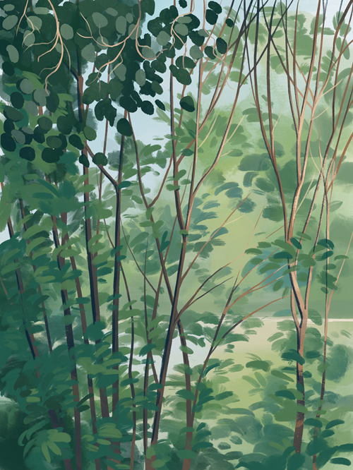Digital art of some trees around Early lake, in summer with everything very green.