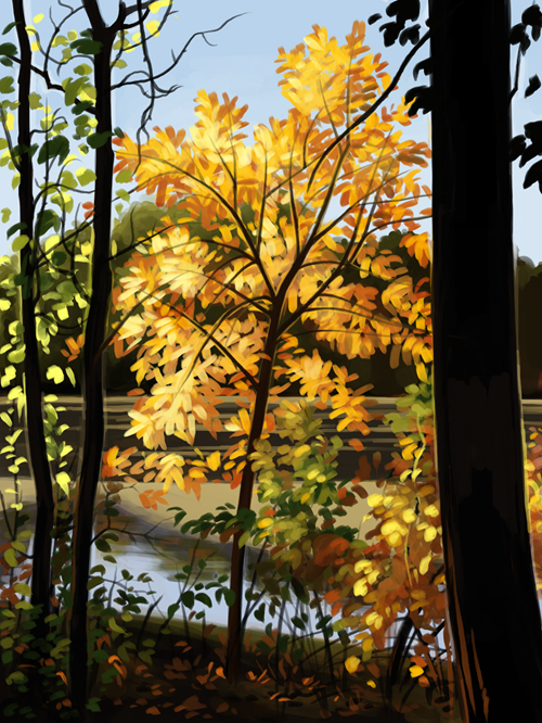 Digital art of a some trees around Early lake in the early fall, so there's still 
                                a lot of leaves, but in the center of this image is a small tree that's bright yellow-orage..