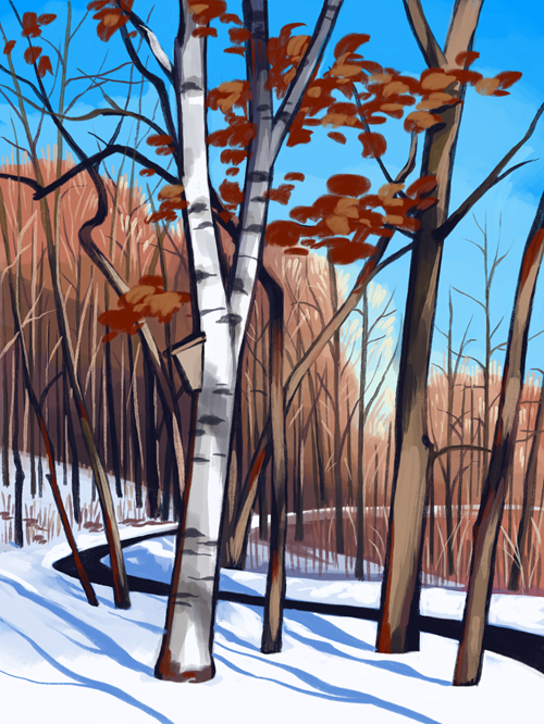 Digital art of a some trees around Early lake in the winter, on a fairly warm 
                                day with a clear blue sky but snow on the ground, and the birch trees are casting purple 
                                shadow lines over it.