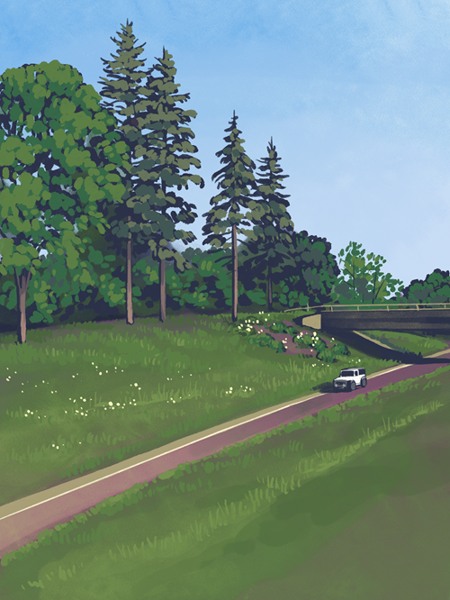 digital image of a road running througha  grassy green valley surrounded by trees and scattered 
                                while flowers, as viewed from above from a different overpass