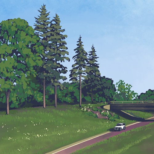 A thumbnail of a digital drawing of the landscape around a highway; a wide green valley 
                                    with little white flowers and some evergreen trees in the background